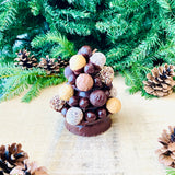 ALBERO CIOCCOLATO NATALE ( con praline )