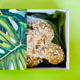 BOX COLOMBA TRADIZIONALE ARTIGIANALE