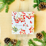 BOX MEDIO BISCOTTINI NATALE