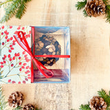 ALBERO CIOCCOLATO NATALE ( con frutta secca )